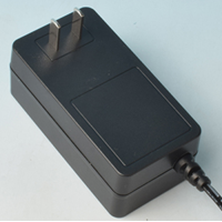 Max output 48W power adapter with DC cable